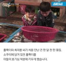 참바다 이미지