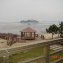 당산나무민박 이미지