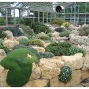 스마일 토이 이미지