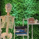 담실 | 구디 퓨어 필라테스 &amp; 체형교정 승모근 관리 후기