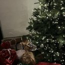 임랑스테이 | 양산 임랑스테이 후기인데 2024 연말파티를 곁들인 🎂⛄️🍠🎉🧣🥔🎁❄️🚗🐦🩵