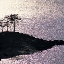 충주호반 이미지