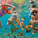 여행하기 좋은 날 이미지