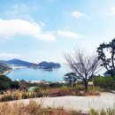금화부동산공인중개사사무소 네이버블로그