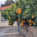 신흥2리 복지타운 이미지