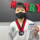 천명태권도 이미지