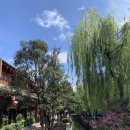 길조 약국 이미지