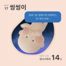 살구나무집 이미지