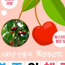 육또바기