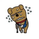카톡 - 송파구 백제고분로7길 15 | 카톡