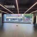 팀 해명 짐 이미지