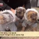 노안농장 이미지