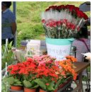 놀이문화공동체협동조합 이미지