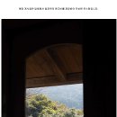 바닷가이솝아저씨네집 이미지