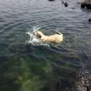 바다놀이터 이미지