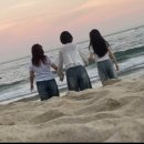 친구야 MT가자 이미지