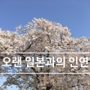 강남YH행정사사무소 이미지