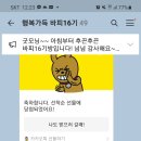 정쌤공부방 | 스마일 정쌤 PPT교육 후기 (바피 16기)