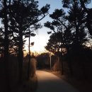 모담공원 이미지