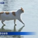 금별맥주 덕천점 이미지