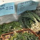 평화공판장 | 260412 마르쉐 목동 농부시장 방문 후기