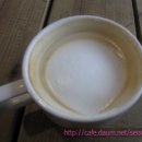 더스타(해피엔젤라) 이미지