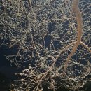 동로주유소 이미지