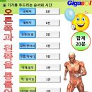 기가봉 사용 후기