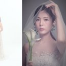 거북이 엔터테이먼트 이미지