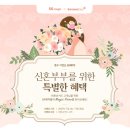 정수기렌탈SK매직.공기청정기.비데건조기 머니투데이