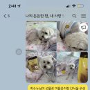 킁킁펫살롱 네이버블로그