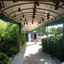 원조태능갈비 이미지