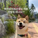 털로 덮인 친구들 인천검단점 이미지