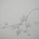 세밀화 그리기 이미지