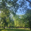 King 편의점 이미지