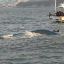 학암포항 이미지