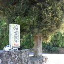 앙끄리에 | 제주도 단체 숙소 앙끄리에펜션 아름다웠던 풍경