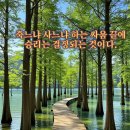 효정경로당 이미지