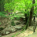 도서관에서 노는날 이미지