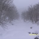 진고개목장 이미지