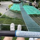 엠제이씨주 | 주간일기 챌린지 9주차