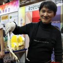 금산체육관 이미지