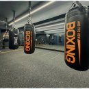 최고체육관 복싱클럽 이미지