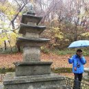 해인사 소리길과 단풍1