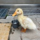 항동푸른도서관 이미지