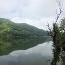 좌구산자연휴양림 이미지