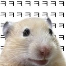님들 사람 평균온도가 36.5도잖아여 이미지