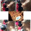 오륜대로 이미지