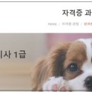 [1급과정] 반려동물관리사 1급 이미지