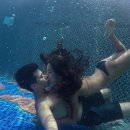 더코브호텔 이미지